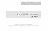 patologia apicola.pdf