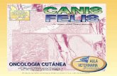 Canis & Felis - Oncología cutánea