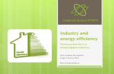 Industry and energy efficiency