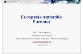 SSB Europeisk statistikk 2013
