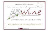 Presentazione vinitaly 2012 ARwine