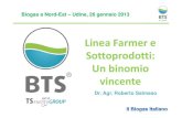 Udine 26 01-2013 BTS Biogas Salmaso Farmer