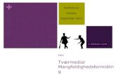 Tværmedial mangfoldighedsformidling - kolding Bibliotek, sept.2013
