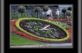 Montreal Garden Tv - Jardines Curiosos - Solocachondeo.com