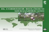 Analisis Del Banco Mundial Sobre Corredor Biologico