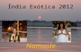 India exotica 2012