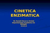 CINETICA ENZIMATICA 2013 enzimologia