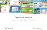 Case Study Balsamik // Promogaming (Août 2014)
