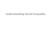 Sy4 inequality, sociology