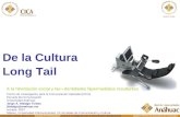 Long Tail Culture