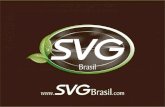 Apresentação Plano de Negócios Svago Brasil - Forjandodiamantes