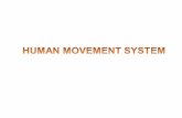 1.3 human movement system