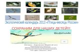 Птицы месяцы России. Альманах и календарь 2013