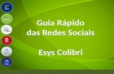 Guia Rápido para Redes Sociais - ESYS COLIBRI
