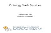 Ontology Web Services