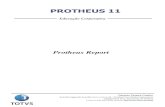 Appostila Protheus Report