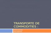 Transporte de Commodities