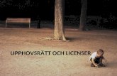 Upphovsrätt & Licenser Sundsvall