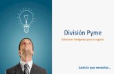 Soluciones inteligentes para tu negocio - División Pyme