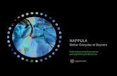 Nappula-projektin loppuraportti 2012