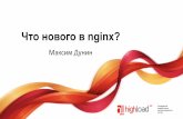 Максим Дунин, Nginx, Inc.