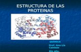Proteinas de analía cambón(2010)