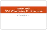 Base sas 2  sas windowing environment