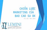 Young Marketers 2 - Lemini