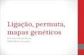 Ligação, permuta, mapas genéticos 2010