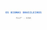 Os biomas-brasileiros