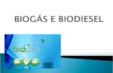 Biogás e biodisel