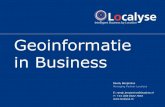 Geo-informatie In Business