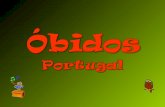 Portugal obidos