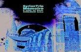 SYRIANTRIP 6 mois en Syrie (mémoire)