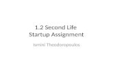 1.2 second life startup assgn