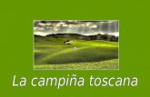 La Campina Toscana -  Itália
