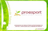 Presentación  Proexport   5nov08
