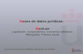 Bases de datos jurídicas: Westlaw