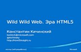 Wild wild web. html5 era