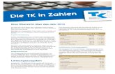 Infoblatt: Die TK in Zahlen 2013