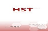 HST Group 회사소개서