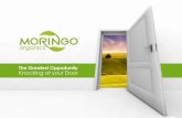 Moringo Organics Opportunity-       MANOJ YADAV   +91 86 55 66 99 01