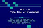 ERP Total cost of ownership - TCO