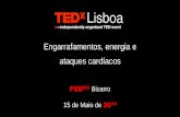 TEDxLisboa 2010 - Pedro Bizarro -Engarrafamentos, energia e ataques cardíacos