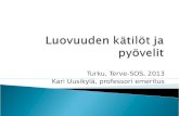 TERVE-SOS 2013 Kari Uusikylä: Mikä luovuutta synnyttää ja mikä sen tappaa?