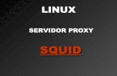 Linux Servidor Proxy(squid)