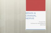 Brain and nerve
