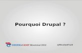 Pourquoi Drupal ?