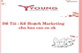 Young Marketers 2 - NI2