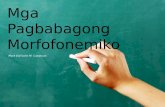 Ang mga pagbabago ng mga morfofonemiko(blacboard theme)